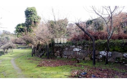 Landejendom i Cinfaes, Viseu, Cinfaes - € 160.000 | Ref: MC09871 - foto 10