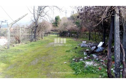 Landejendom i Cinfaes, Viseu, Cinfaes - € 160.000 | Ref: MC09871 - foto 11