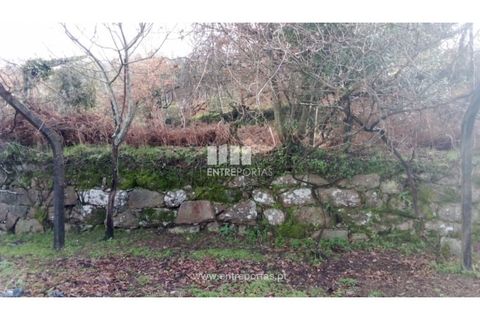 Landejendom i Cinfaes, Viseu, Cinfaes - € 160.000 | Ref: MC09871 - foto 13