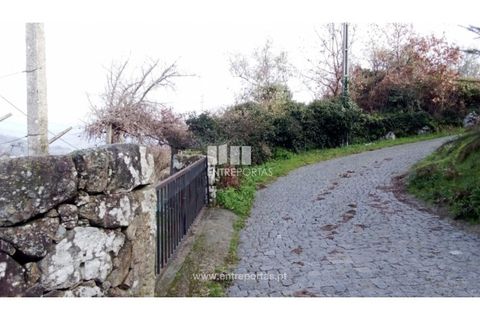 Landejendom i Cinfaes, Viseu, Cinfaes - € 160.000 | Ref: MC09871 - foto 15