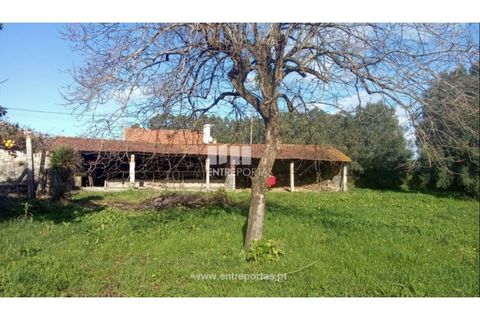 Villa i Viana do Castelo, Viana do Castelo, Viana do Castelo - € 318.500 | Ref: VCM14596 - foto 15