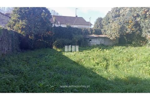 Villa i Viana do Castelo, Viana do Castelo, Viana do Castelo - € 318.500 | Ref: VCM14596 - foto 19