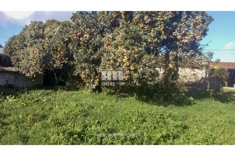 Villa i Viana do Castelo, Viana do Castelo, Viana do Castelo - € 318.500 | Ref: VCM14596 - foto 21