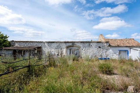 Helårsgrund i Alenquer, Lisbon, Alenquer - € 3.500.000 | Ref: 1210-2632 - foto 4