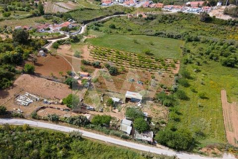 Helårsgrund i Alenquer, Lisbon, Alenquer - € 3.500.000 | Ref: 1210-2632 - foto 6