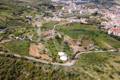 Helårsgrund i Alenquer, Lisbon, Alenquer - € 3.500.000 | Ref: 1210-2632 - foto 7