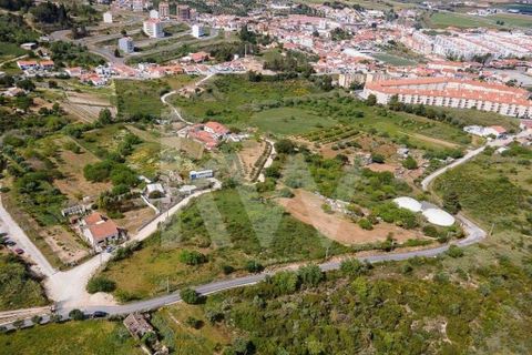 Helårsgrund i Alenquer, Lisbon, Alenquer - € 3.500.000 | Ref: 1210-2632 - foto 8