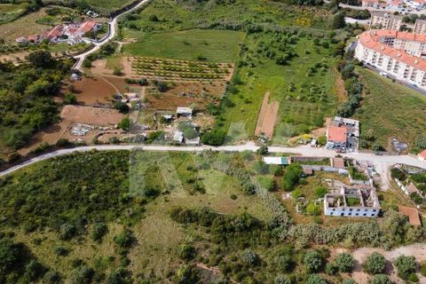 Helårsgrund i Alenquer, Lisbon, Alenquer - € 3.500.000 | Ref: 1210-2632 - foto 13