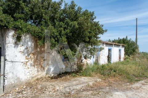Helårsgrund i Alenquer, Lisbon, Alenquer - € 3.500.000 | Ref: 1210-2632 - foto 14