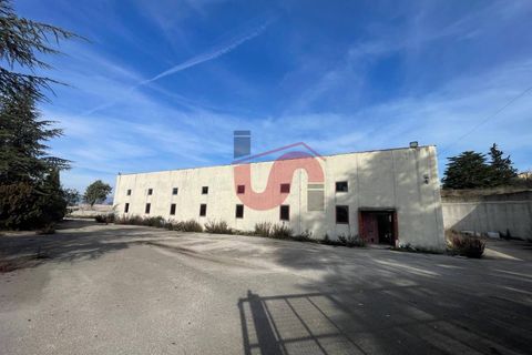 Erhvervsejendom i Benevento, Benevento, Benevento - € 315.000 | Ref: AA39824 - foto 1