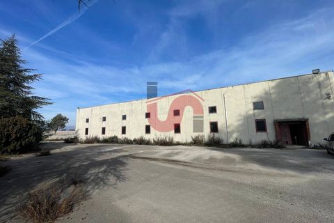 Erhvervsejendom i Benevento, Benevento, Benevento - € 315.000 | Ref: AA39824 - foto 2