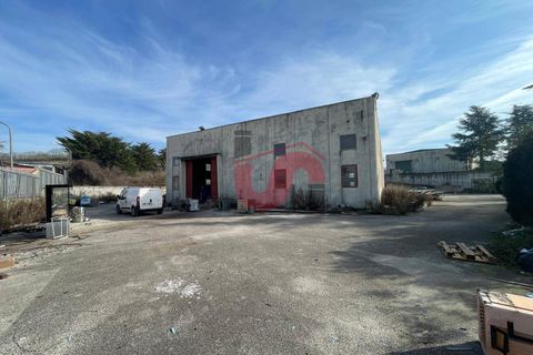 Erhvervsejendom i Benevento, Benevento, Benevento - € 315.000 | Ref: AA39824 - foto 3