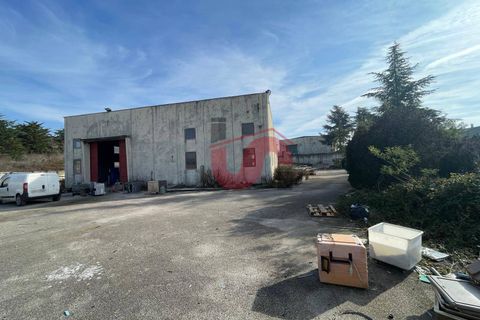 Erhvervsejendom i Benevento, Benevento, Benevento - € 315.000 | Ref: AA39824 - foto 12