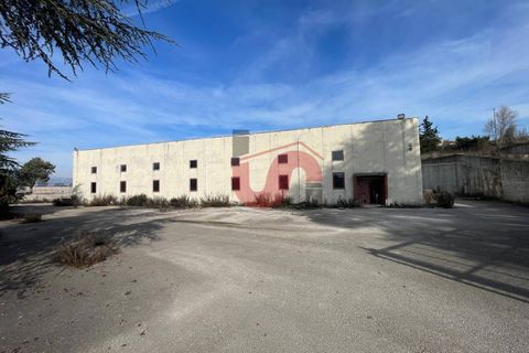Erhvervsejendom i Benevento, Benevento, Benevento - € 315.000 | Ref: AA39824 - foto 15