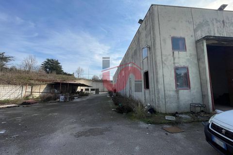 Erhvervsejendom i Benevento, Benevento, Benevento - € 315.000 | Ref: AA39824 - foto 17