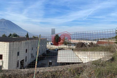 Erhvervsejendom i Benevento, Benevento, Benevento - € 315.000 | Ref: AA39824 - foto 19