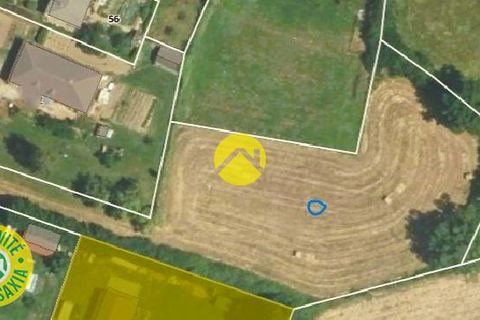 Villa i Bourbon-l'Archambault, Allier, Bourbon-l'Archambault - € 115.500 | Ref: 97CAL111020 - foto 6