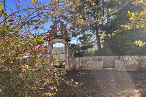 Farm i Mafra, Lisbon, Mafra - € 2.950.000 | Ref: QUI3157 - foto 12