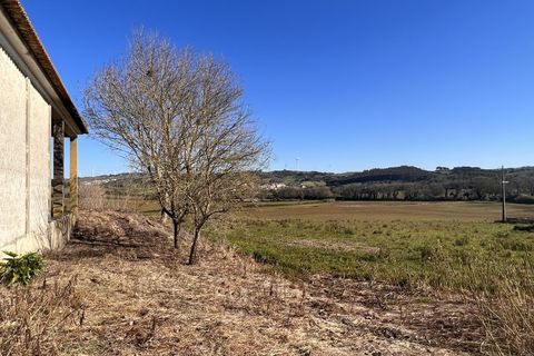Farm i Mafra, Lisbon, Mafra - € 2.950.000 | Ref: QUI3157 - foto 16