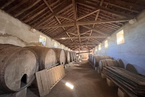 Farm i Mafra, Lisbon, Mafra - € 2.950.000 | Ref: QUI3157 - foto 18