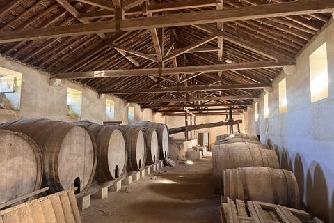 Farm i Mafra, Lisbon, Mafra - € 2.950.000 | Ref: QUI3157 - foto 19
