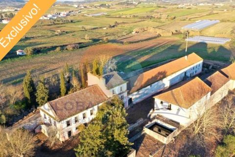 Farm i Mafra, Lisbon, Mafra - € 2.950.000 | Ref: QUI3157 - foto 21