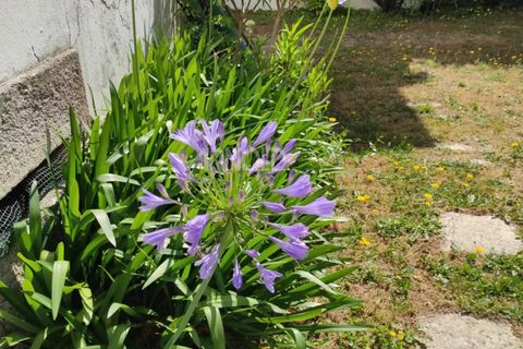 Villa a Vannes, Morbihan, Vannes - € 1.248.000 | Ref: 86723089 - foto 30
