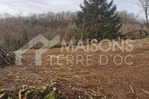 Villa a Le Margnes, Tarn, Le Margnes - € 350.900 | Ref: CA29012026LOUISE - foto 3