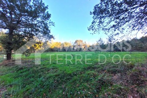 Villa a Damiatte, Tarn, Damiatte - € 285.800 | Ref: TL29012026LAURA - foto 2