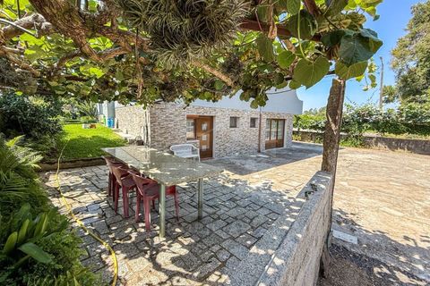Villa i Viana do Castelo, Viana do Castelo, Viana do Castelo - € 372.000 | Ref: 251250221 - foto 30