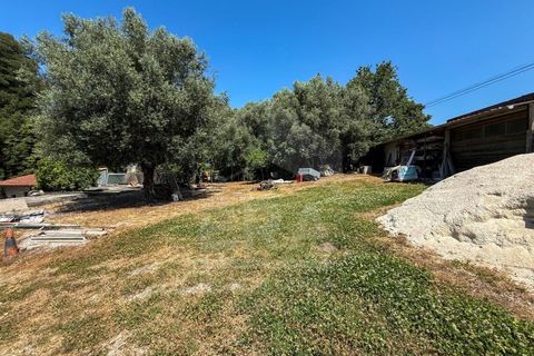 Villa i Viana do Castelo, Viana do Castelo, Viana do Castelo - € 372.000 | Ref: 251250221 - foto 31
