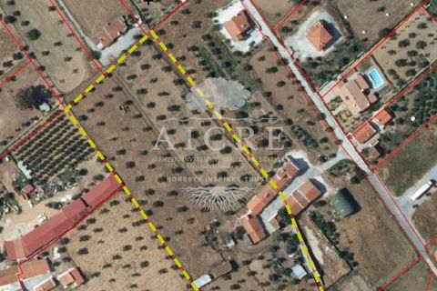 Villa i Redondo, Evora, Redondo - € 345.000 | Ref: 3442025EM - foto 2