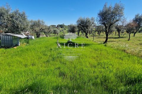 Villa i Redondo, Evora, Redondo - € 345.000 | Ref: 3442025EM - foto 34