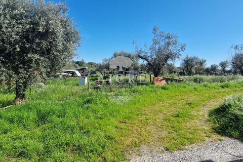 Villa i Redondo, Evora, Redondo - € 345.000 | Ref: 3442025EM - foto 35