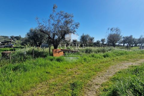 Villa i Redondo, Evora, Redondo - € 345.000 | Ref: 3442025EM - foto 36