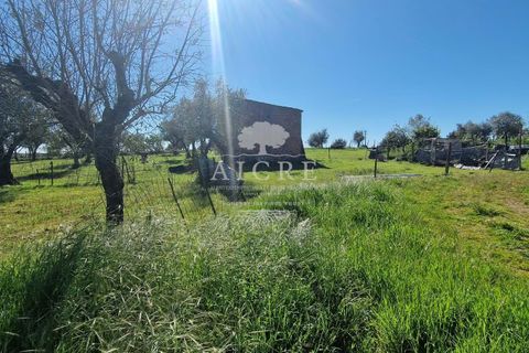 Villa i Redondo, Evora, Redondo - € 345.000 | Ref: 3442025EM - foto 37
