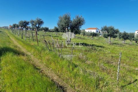 Villa i Redondo, Evora, Redondo - € 345.000 | Ref: 3442025EM - foto 40