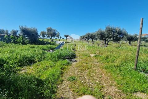 Villa i Redondo, Evora, Redondo - € 345.000 | Ref: 3442025EM - foto 41