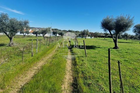 Villa i Redondo, Evora, Redondo - € 345.000 | Ref: 3442025EM - foto 43