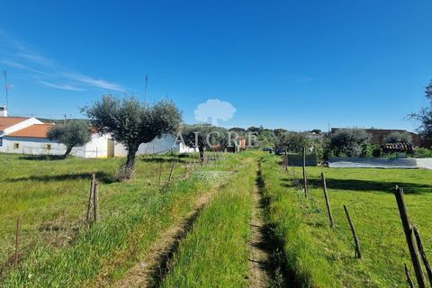 Villa i Redondo, Evora, Redondo - € 345.000 | Ref: 3442025EM - foto 45