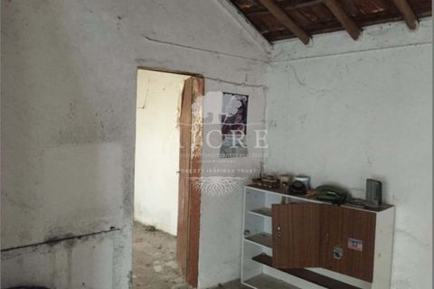 Villa i Chamusca, Santarem, Chamusca - € 29.900 | Ref: 3522026EM - foto 14