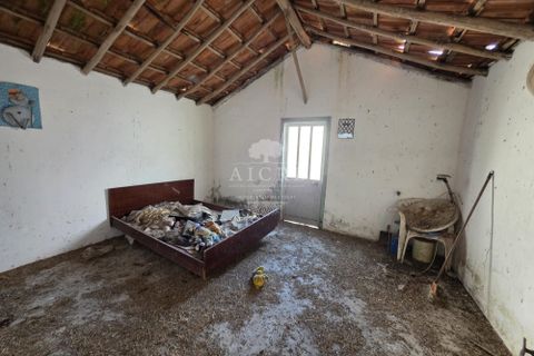 Villa i Chamusca, Santarem, Chamusca - € 29.900 | Ref: 3522026EM - foto 15