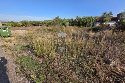 Villa i Chamusca, Santarem, Chamusca - € 29.900 | Ref: 3522026EM - foto 18