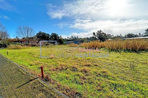 Helårsgrund i Vagos, Aveiro, Vagos - € 30.000 | Ref: T-30225 - foto 2