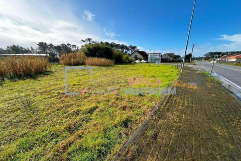 Helårsgrund i Vagos, Aveiro, Vagos - € 30.000 | Ref: T-30225 - foto 1