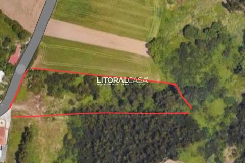 Helårsgrund i Ilhavo, Aveiro, Ilhavo - € 100.000 | Ref: VEN-4167 - foto 2