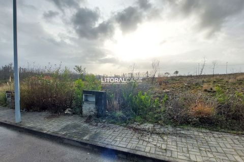 Helårsgrund i Agueda, Aveiro, Agueda - € 35.000 | Ref: VEN-4168 A - foto 5