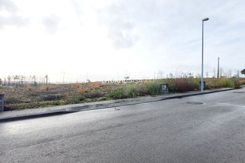Helårsgrund i Agueda, Aveiro, Agueda - € 45.000 | Ref: VEN-4168 B - foto 2