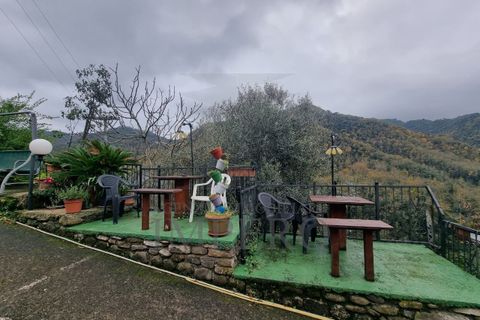 Erhvervsejendom i Apricale, Imperia, Apricale - € 690.000 | Ref: 23715 - foto 25