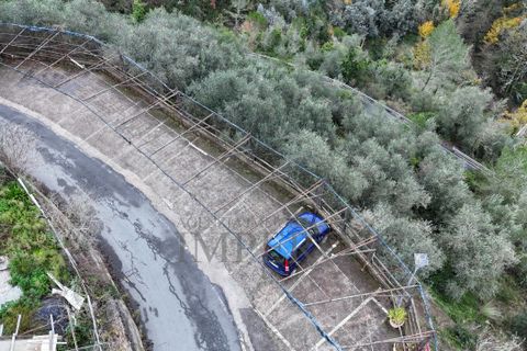Erhvervsejendom i Apricale, Imperia, Apricale - € 690.000 | Ref: 23715 - foto 27